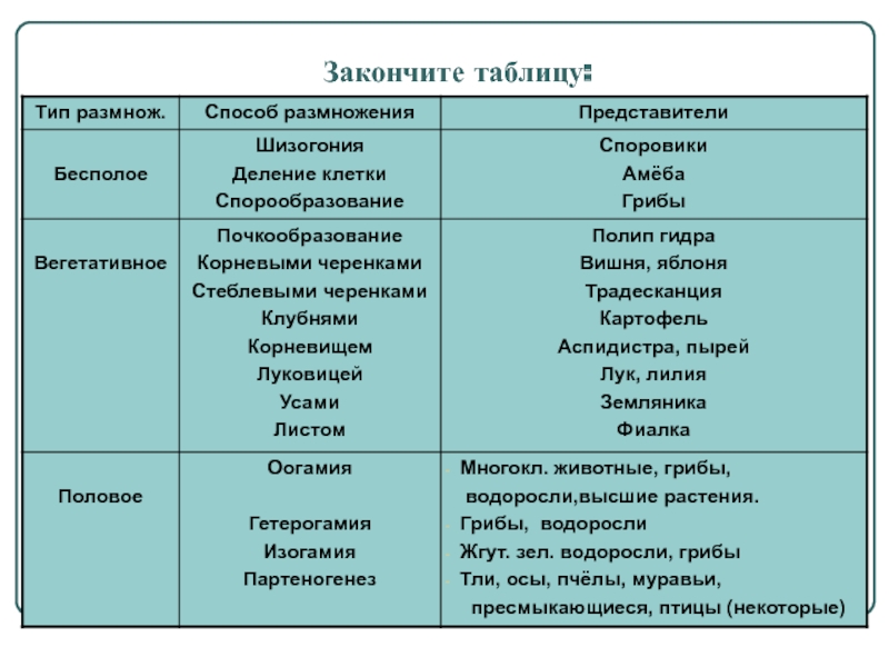 Кракен войти на сайт