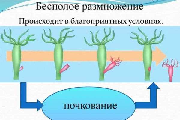 Где найти ссылку кракен